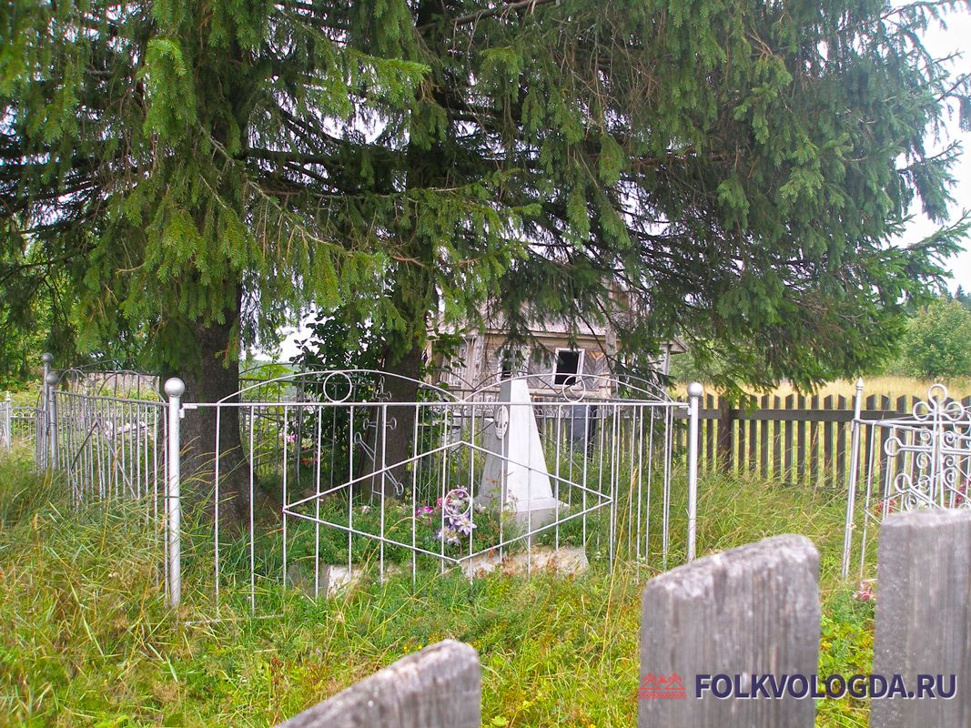 Кладбище, ель на могиле