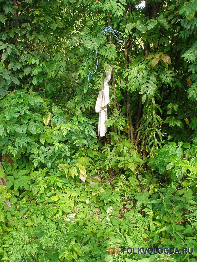 Похоронное полотенце на кусте